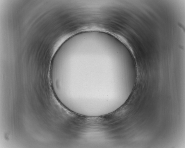 X0000101410863200807071005