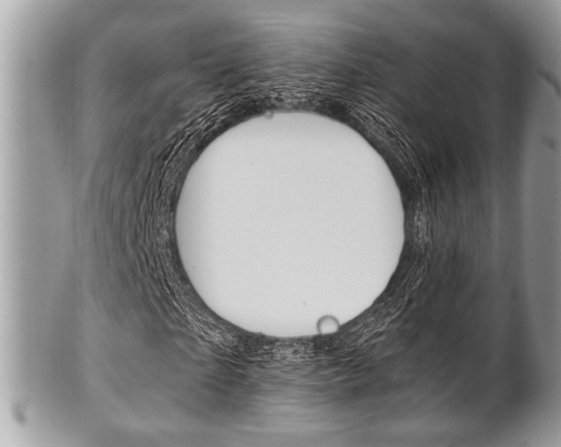 X0000101410865200807071004