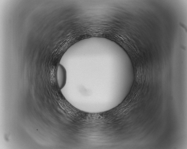 X0000101410866200807071004