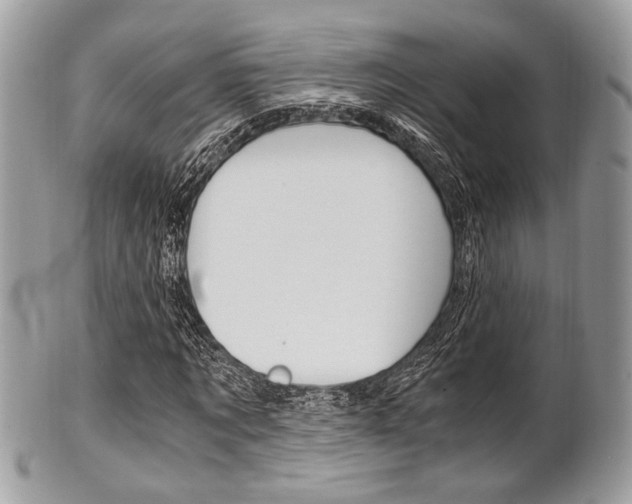 X0000101410869200807071004