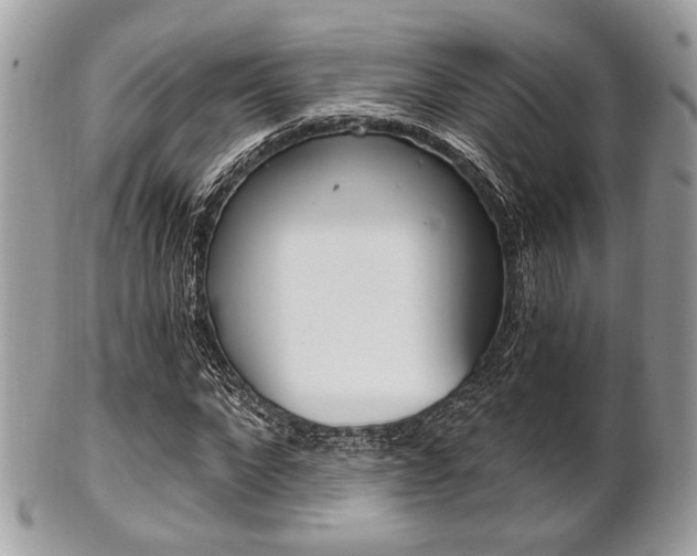 X0000101410872200807071004