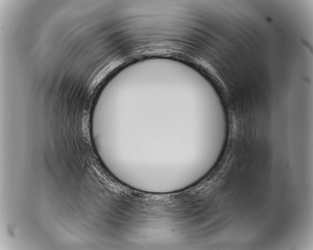 X0000101410874200807071004