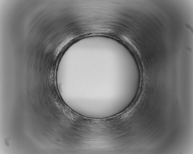 X0000101410875200807071004