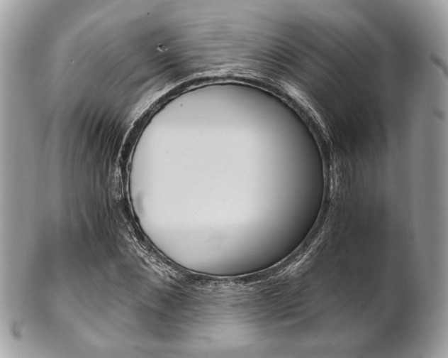 X0000101410876200807071004