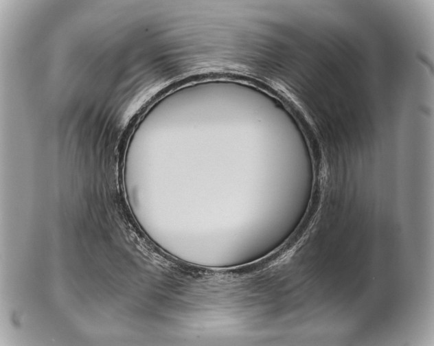 X0000101410877200807071004