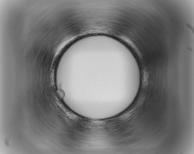 X0000101410878200807071004