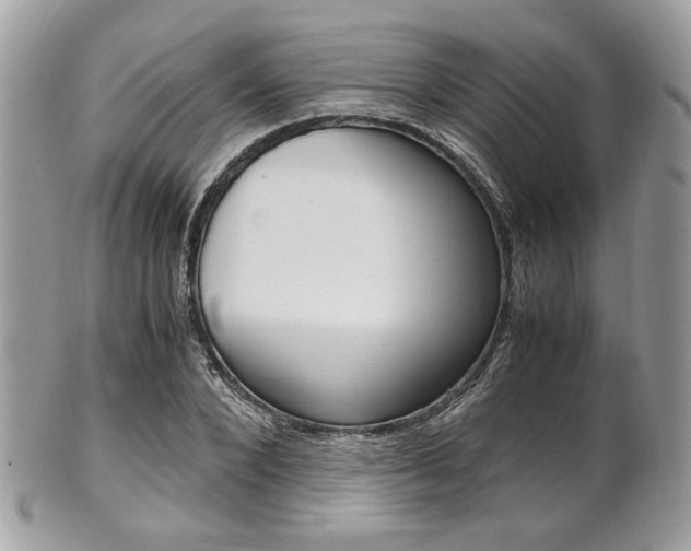 X0000101410880200807071004