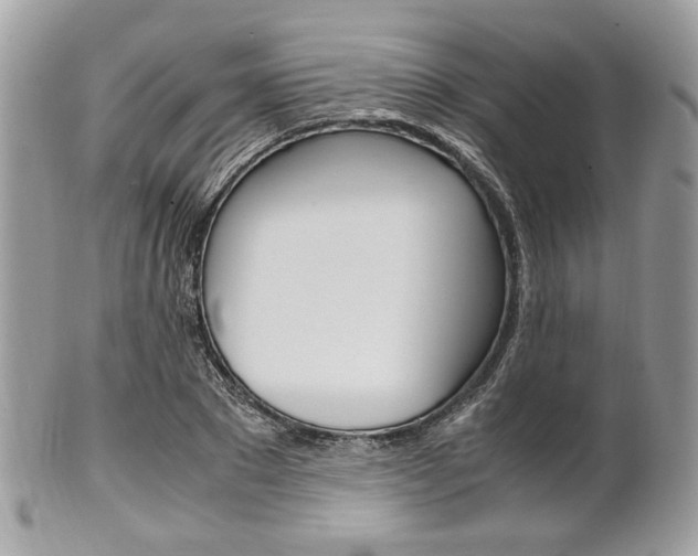 X0000101410881200807071004