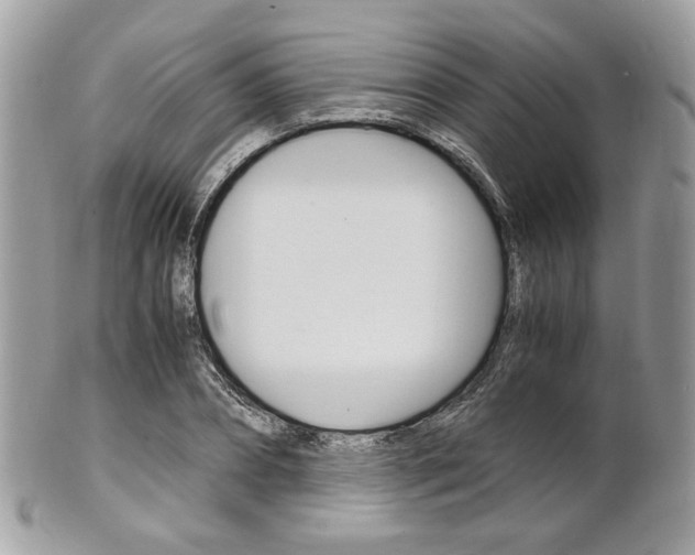 X0000101410882200807071004