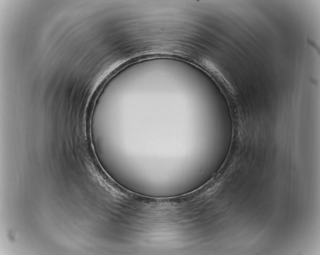 X0000101410884200807071004