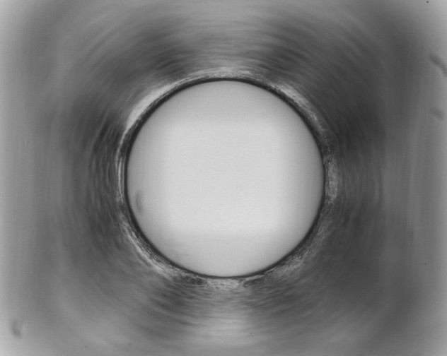 X0000101410886200807071004