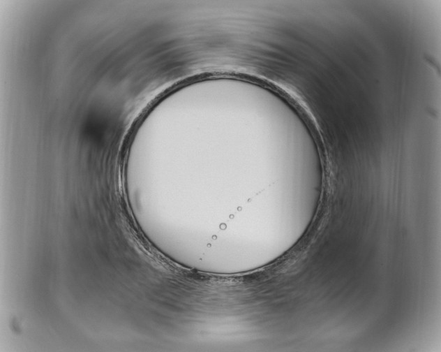 X0000101410887200807071004