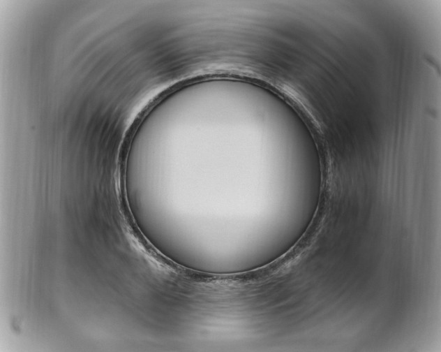 X0000101410888200807071004