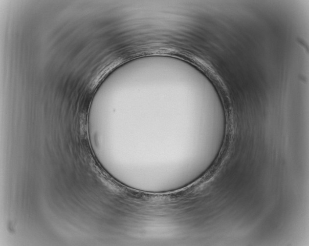 X0000101410889200807071004