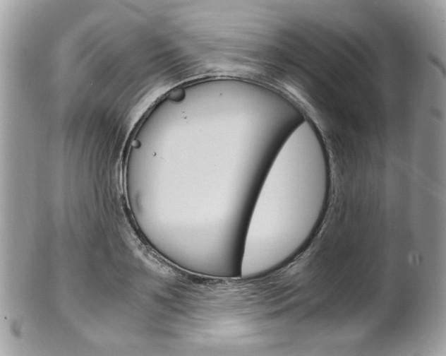 X0000101410891200807071004