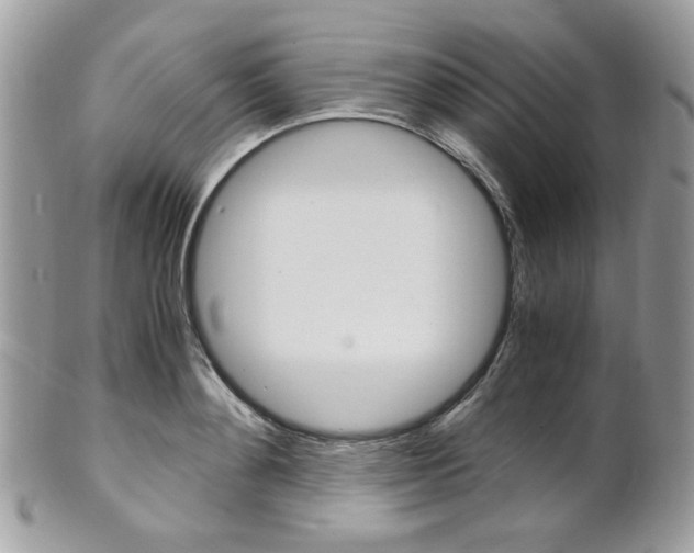 X0000101410892200807071004