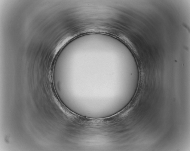 X0000101410893200807071004