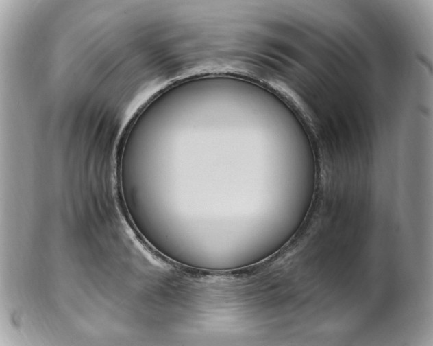 X0000101410894200807071004