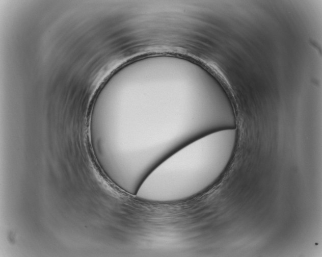 X0000101410895200807071004