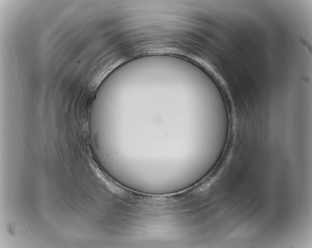 X0000101410897200807071004