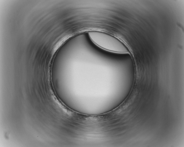 X0000101410898200807071004