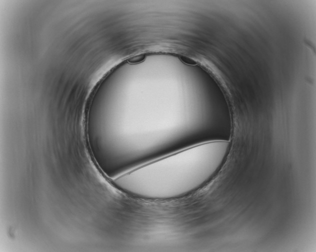 X0000101410902200807071004