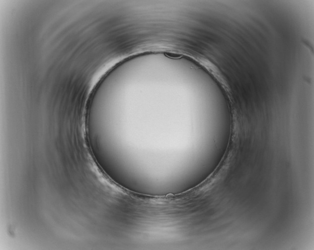 X0000101410904200807071004