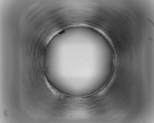 X0000101410905200807071004