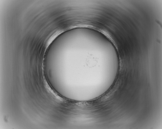 X0000101410906200807071004