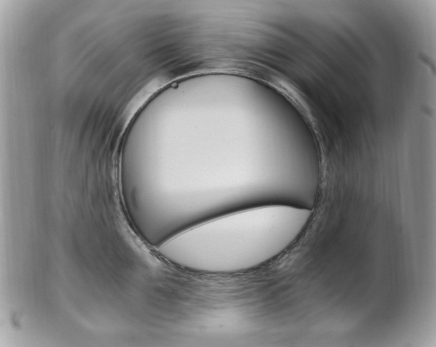X0000101410907200807071004