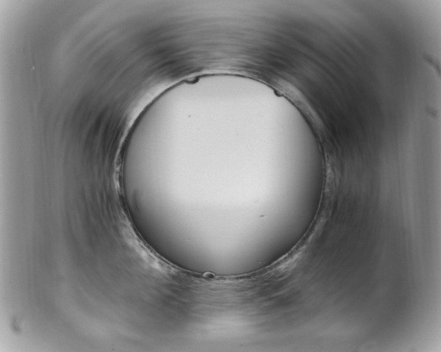 X0000101410908200807071004