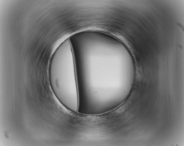 X0000101410910200807071004