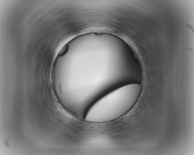 X0000101410912200807071003