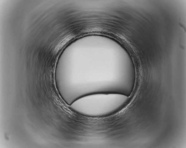 X0000101410921200807071003