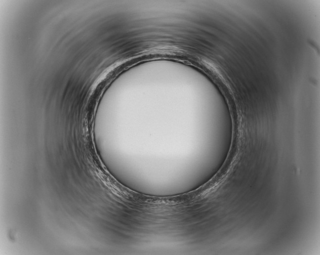 X0000101410923200807071003
