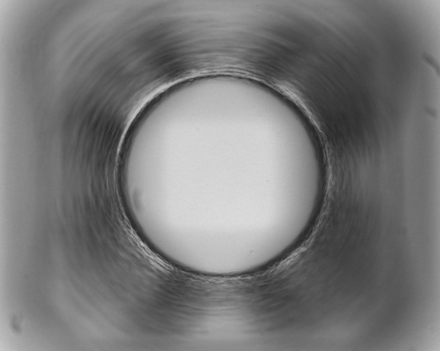 X0000101410924200807071003