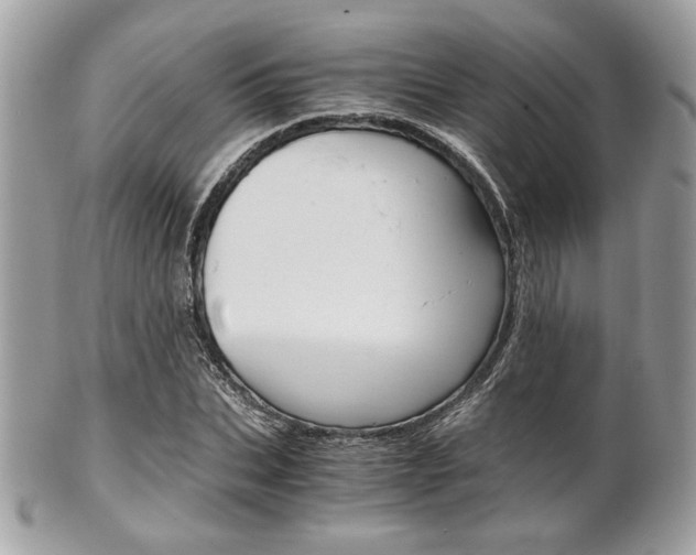 X0000101410927200807071003