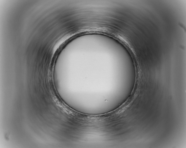 X0000101410928200807071003