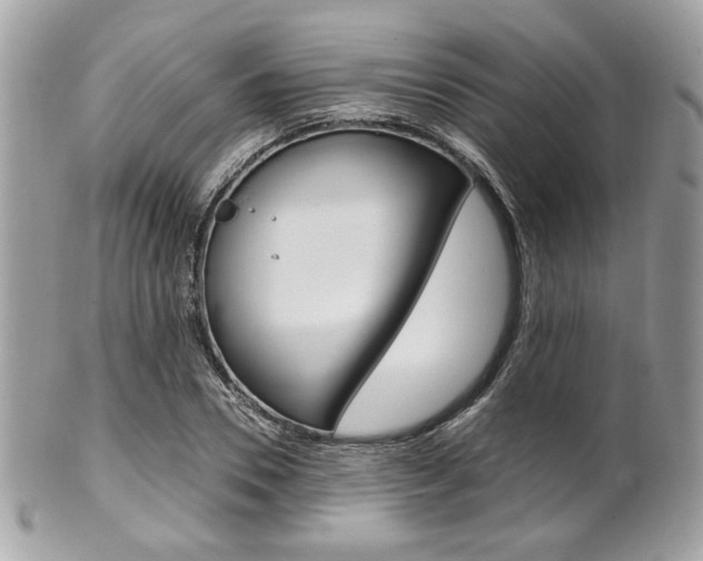 X0000101410930200807071003