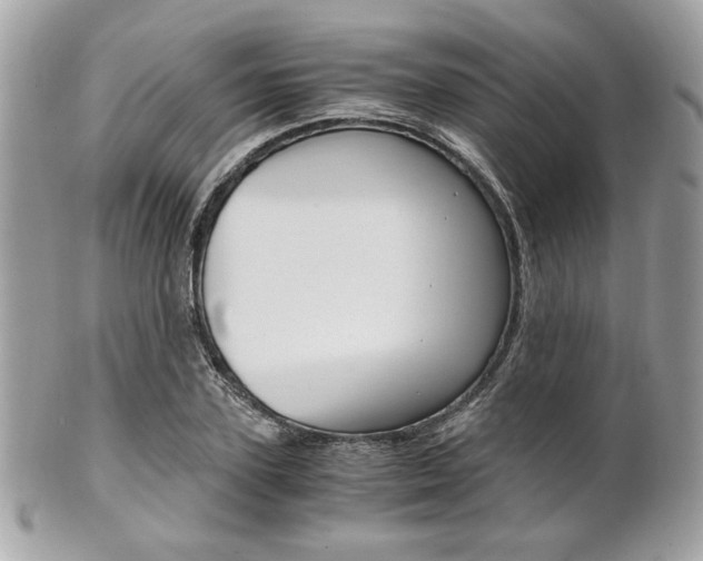 X0000101410931200807071003