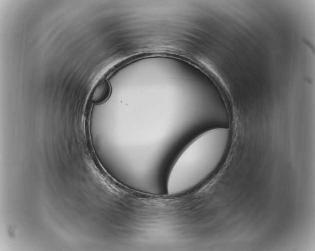 X0000101410932200807071003