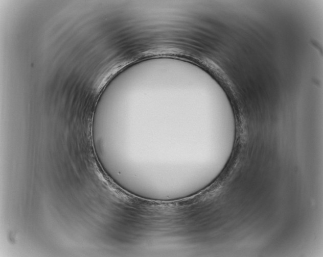 X0000101410937200807071003