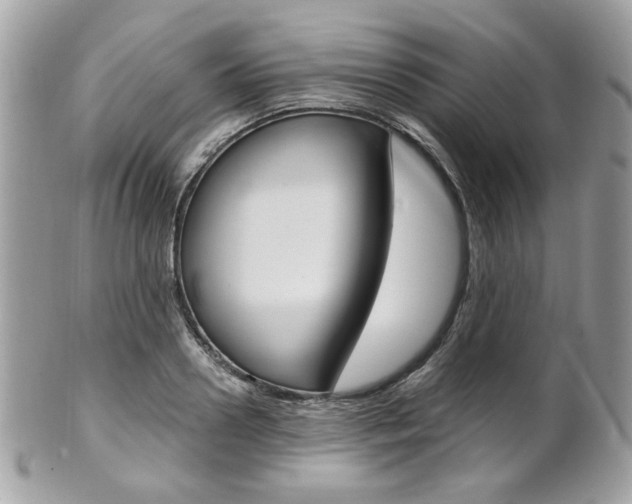 X0000101410938200807071003
