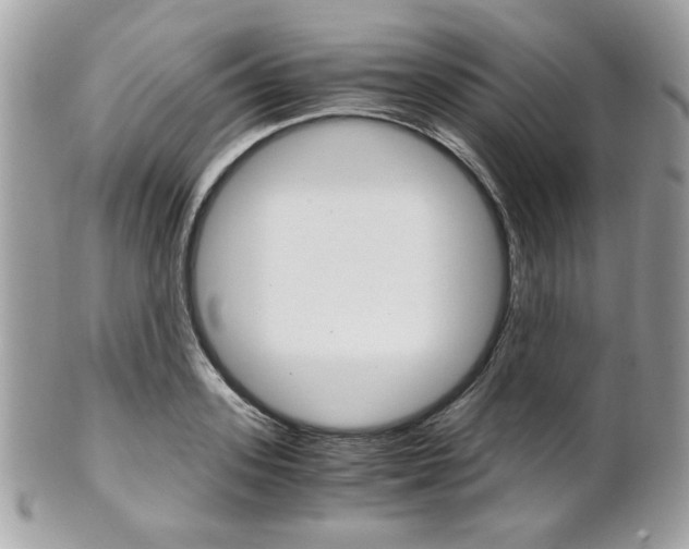 X0000101410939200807071003