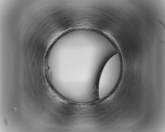 X0000101410941200807071003