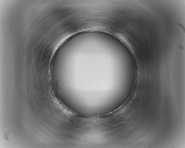 X0000101410948200807071003