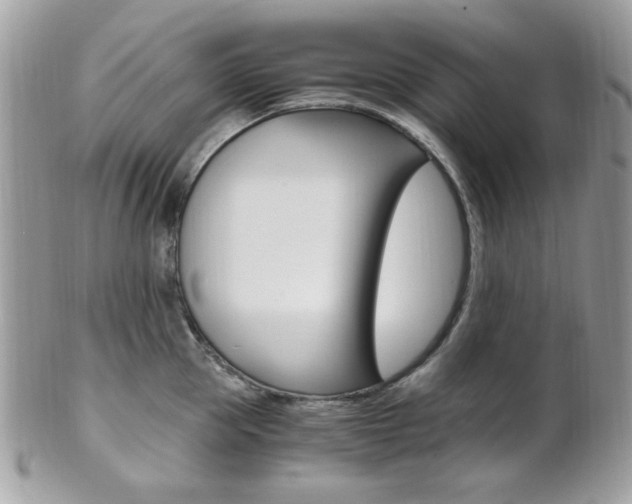 X0000101410953200807071003
