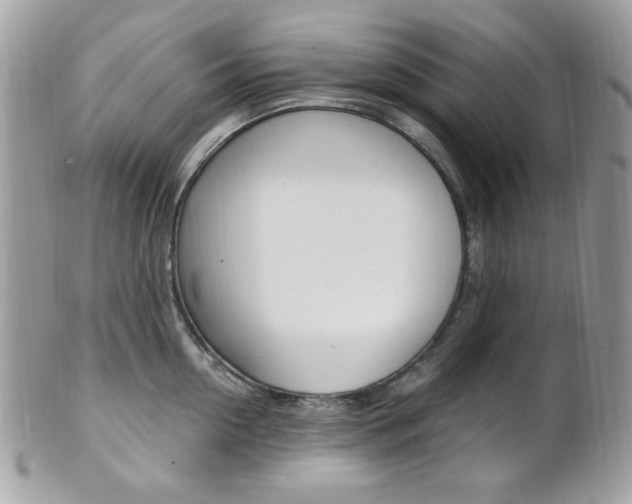 X0000101410954200807071003