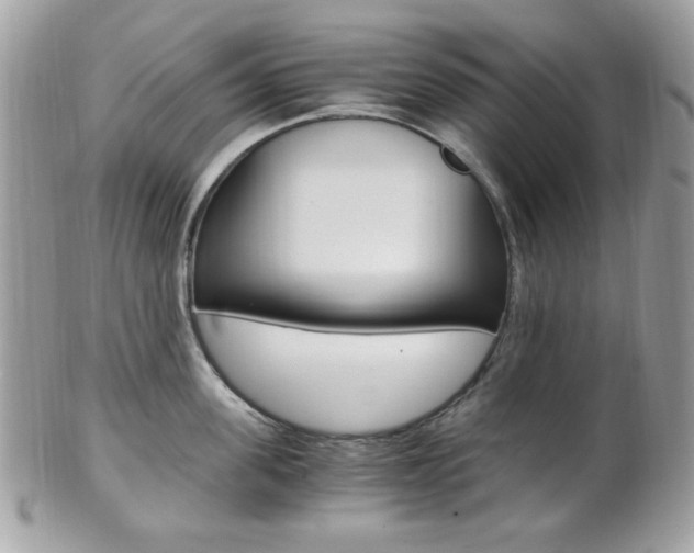 X0000101410955200807071003