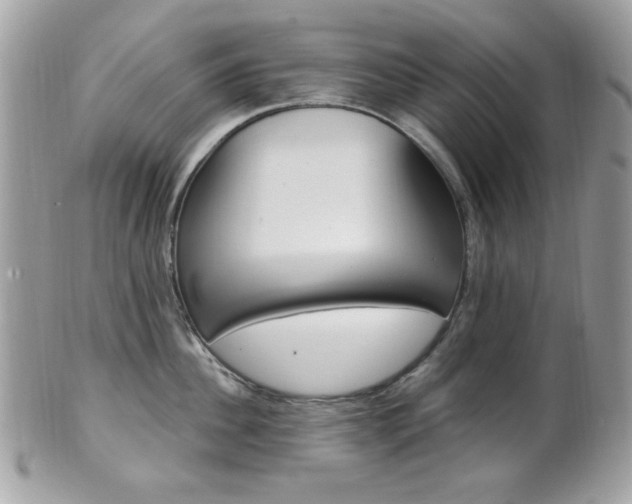 X0000101410956200807071003